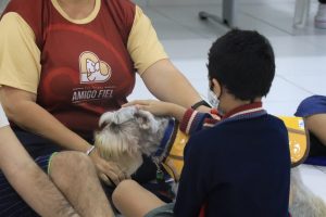 Imagem da notícia - Sejusc retorna com Intervenção Assistida por Animais para pessoas com Transtorno do Espectro Autista
