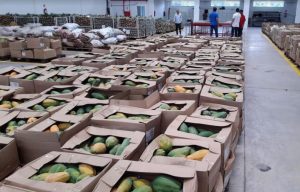 Imagem da notícia - Governo do Amazonas doa 80 toneladas de alimentos para instituições filantrópicas