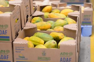 Imagem da notícia - Mais de 5 mil pessoas serão beneficiadas pela Sejusc na nova remessa de alimentos doados pelo Governo do Estado