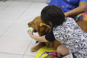 Imagem da notícia - Terapia com cães é retomada pela Sejusc para crianças PcDs