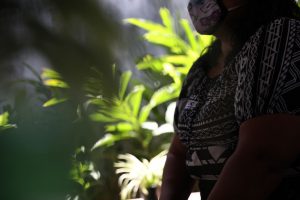 Imagem da notícia - Casa da Mulher Brasileira reforça rede de proteção no Amazonas