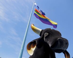 Imagem da notícia - Festival de Parintins 2024: no Dia do Orgulho LGBTQIAPN+, bois Boiola e Rasgadinho celebram a diversidade em ato no Bumbódromo